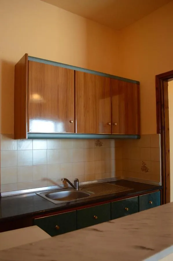 Homestay Anestis House Apartment Sarti